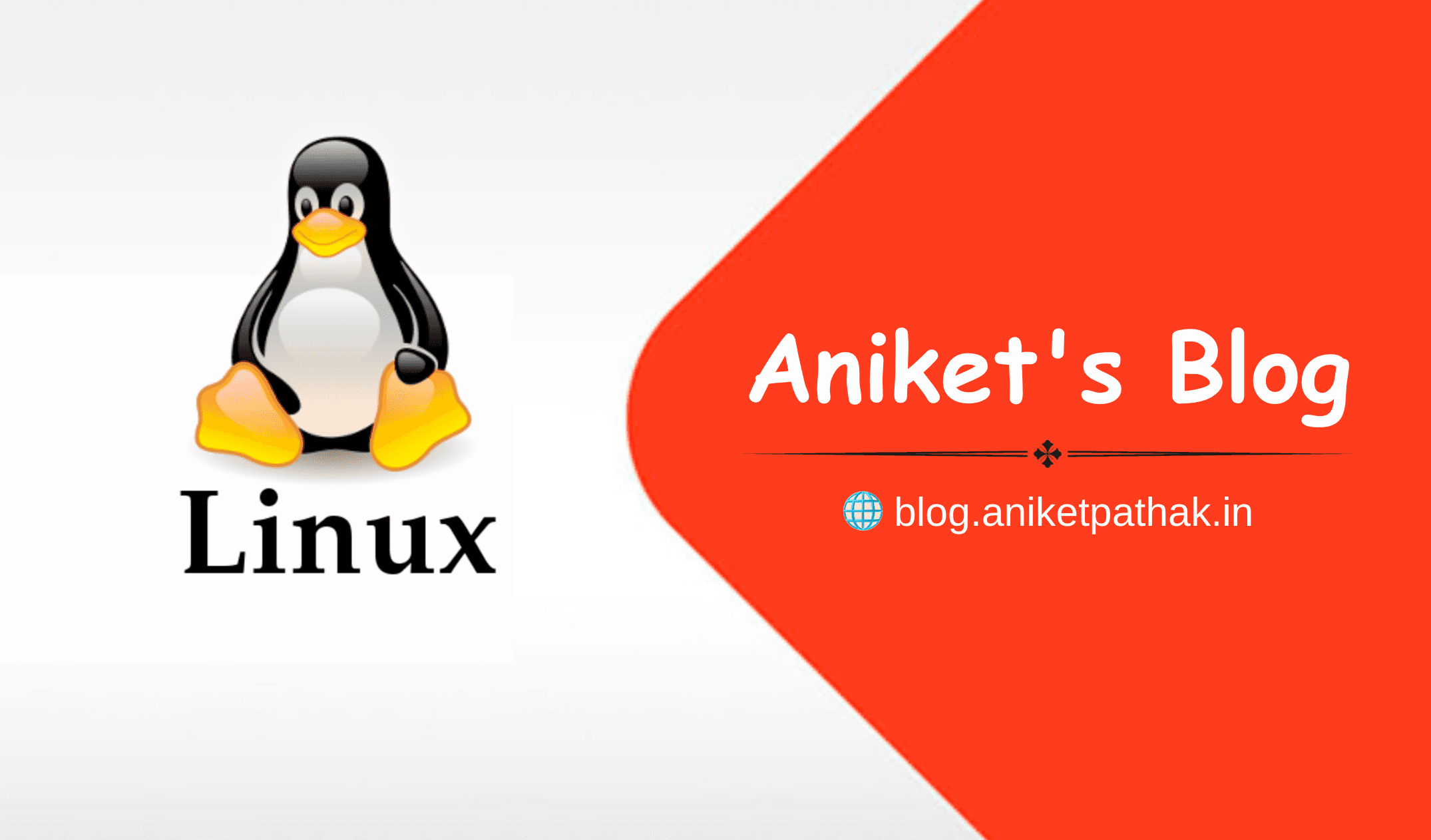 Linux and Shell: A Comprehensive Guide for Software Engineers 💻🚀